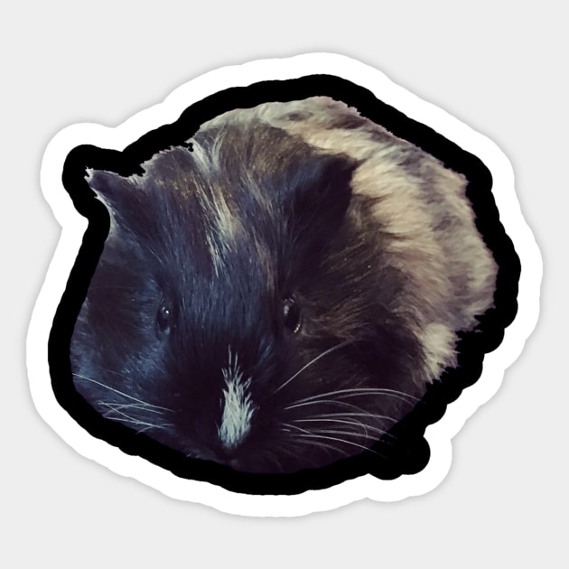 My Guinea Pig Sticker by Trashfox